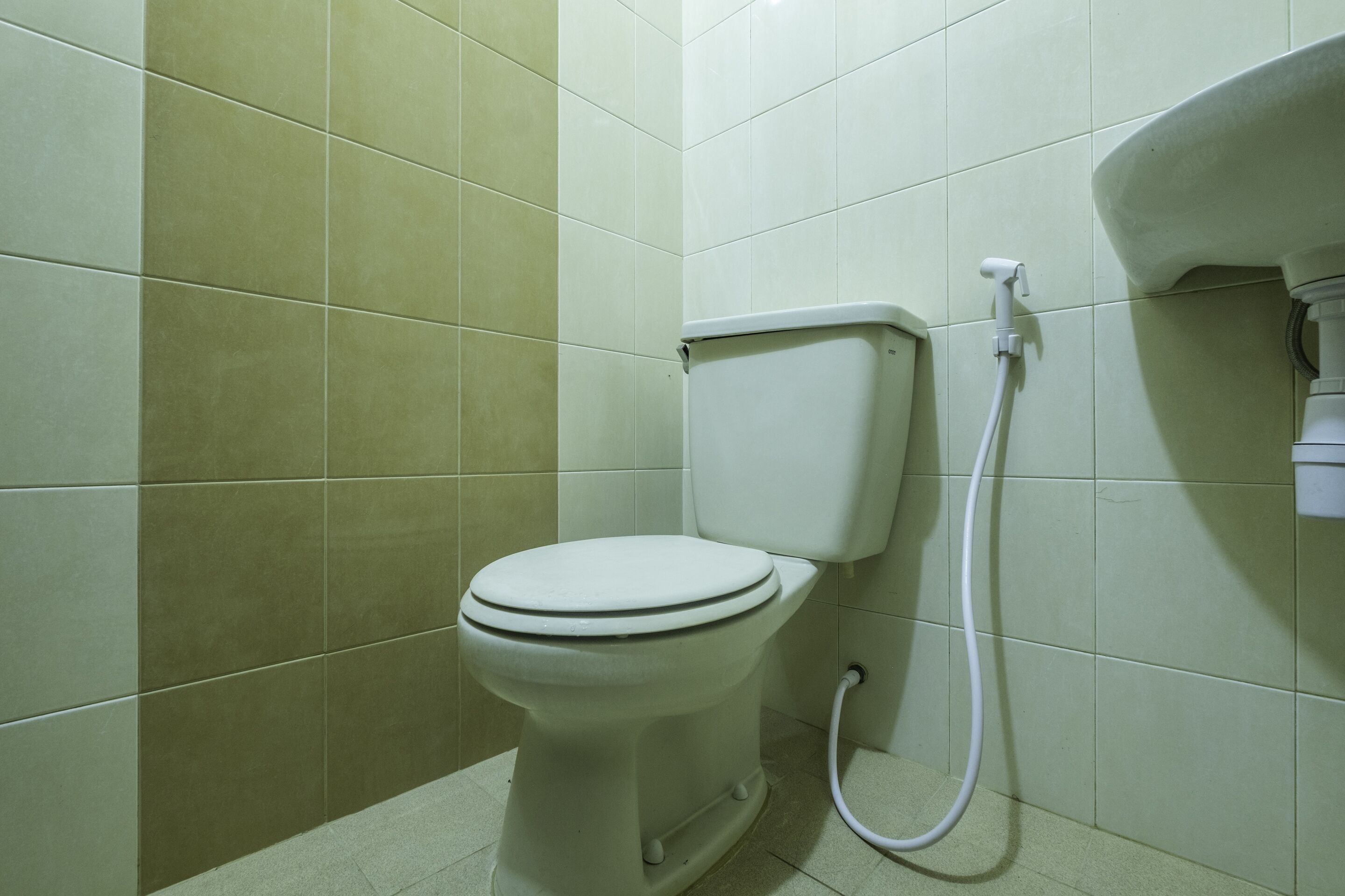 A bathroom with a toilet, a shower, and a sink.