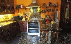 Oven, stovetop, electric kettle, blender