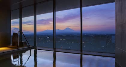 Fujisan Mishima Tokyu Hotel