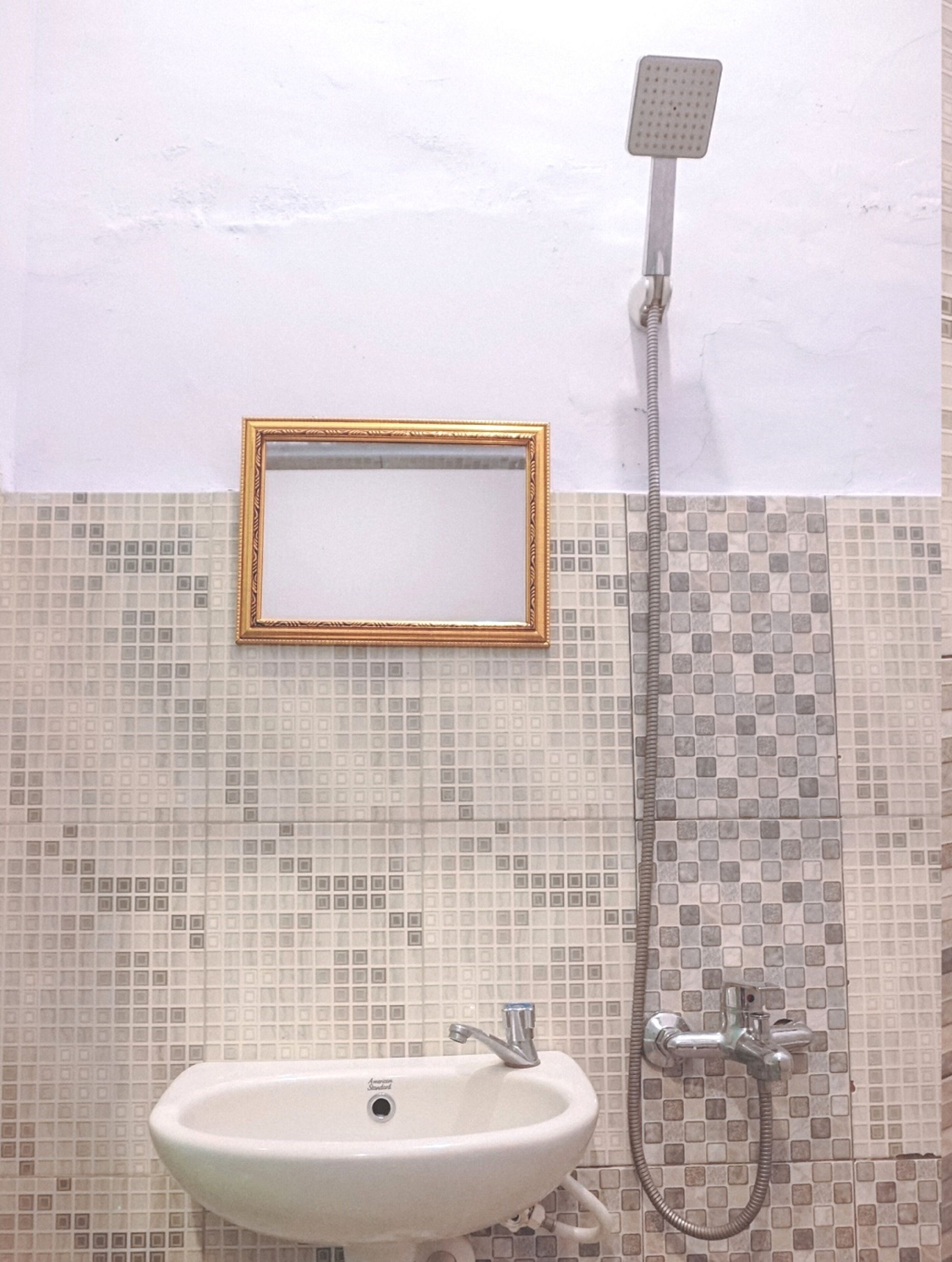 A bathroom with a sink, a shower, and a mirror with a gold frame.