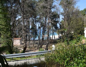 Vista desde la propiedad