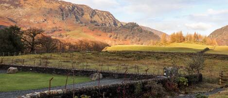 Cottage | Halaman properti