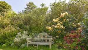 Een houten bank in een tuin met verschillende planten en bloemen.