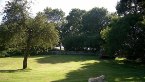 A grassy outdoor area with a dog lying on the grass. - Coombe Orchard (Swanage)