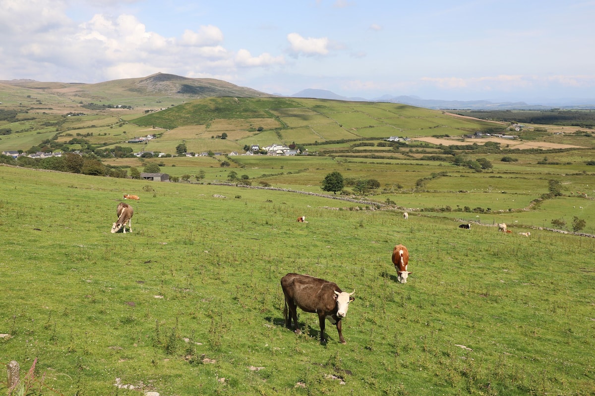 A rural landscape with rolling hills, a few scattered houses, and grazing cattle.