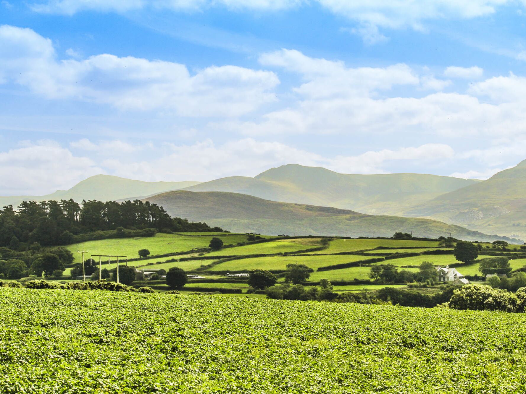 Casa de campo | Interior