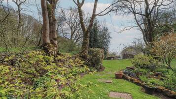 Cottage | Property grounds