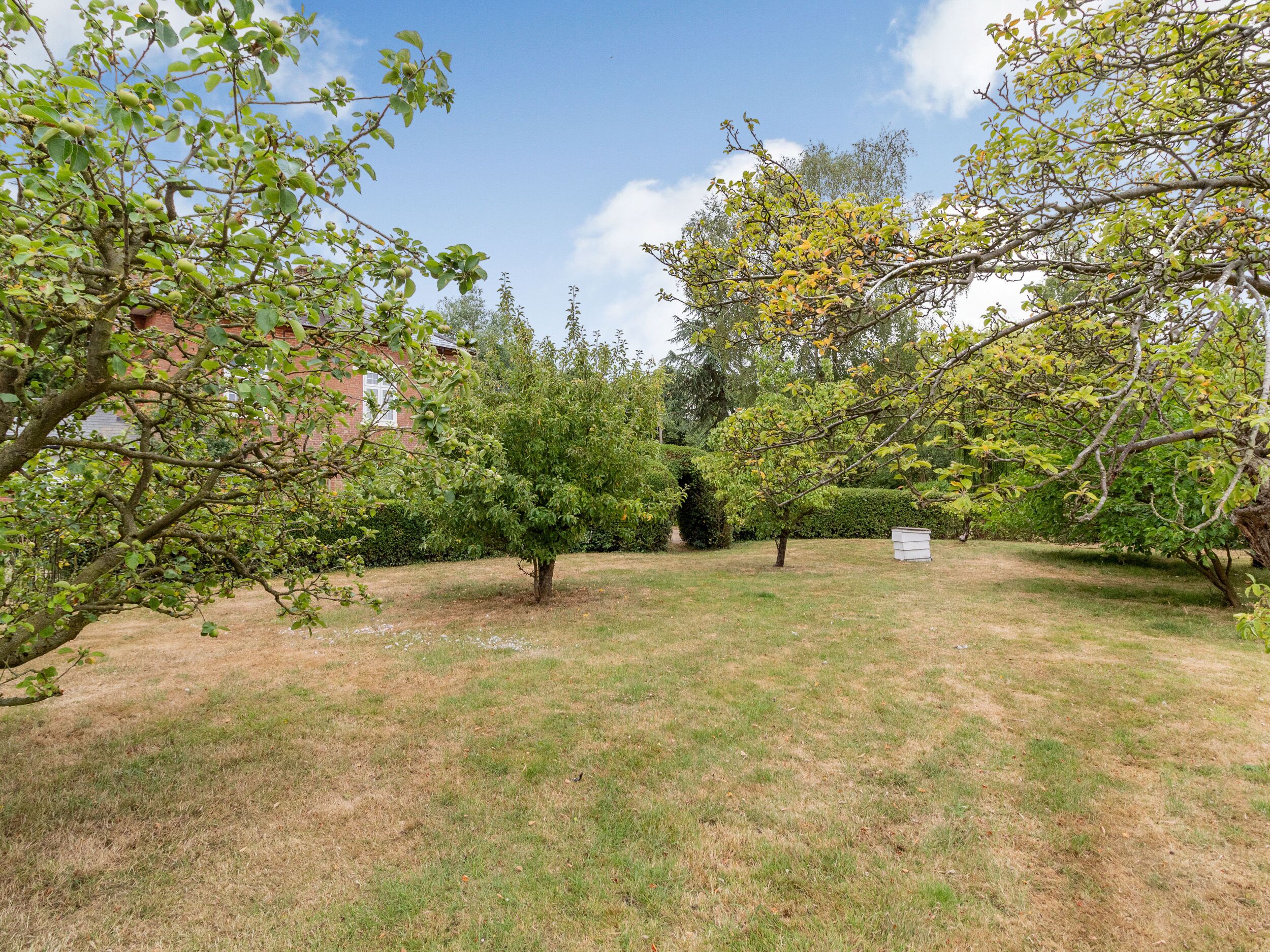 A grassy outdoor area with trees and a white shed.