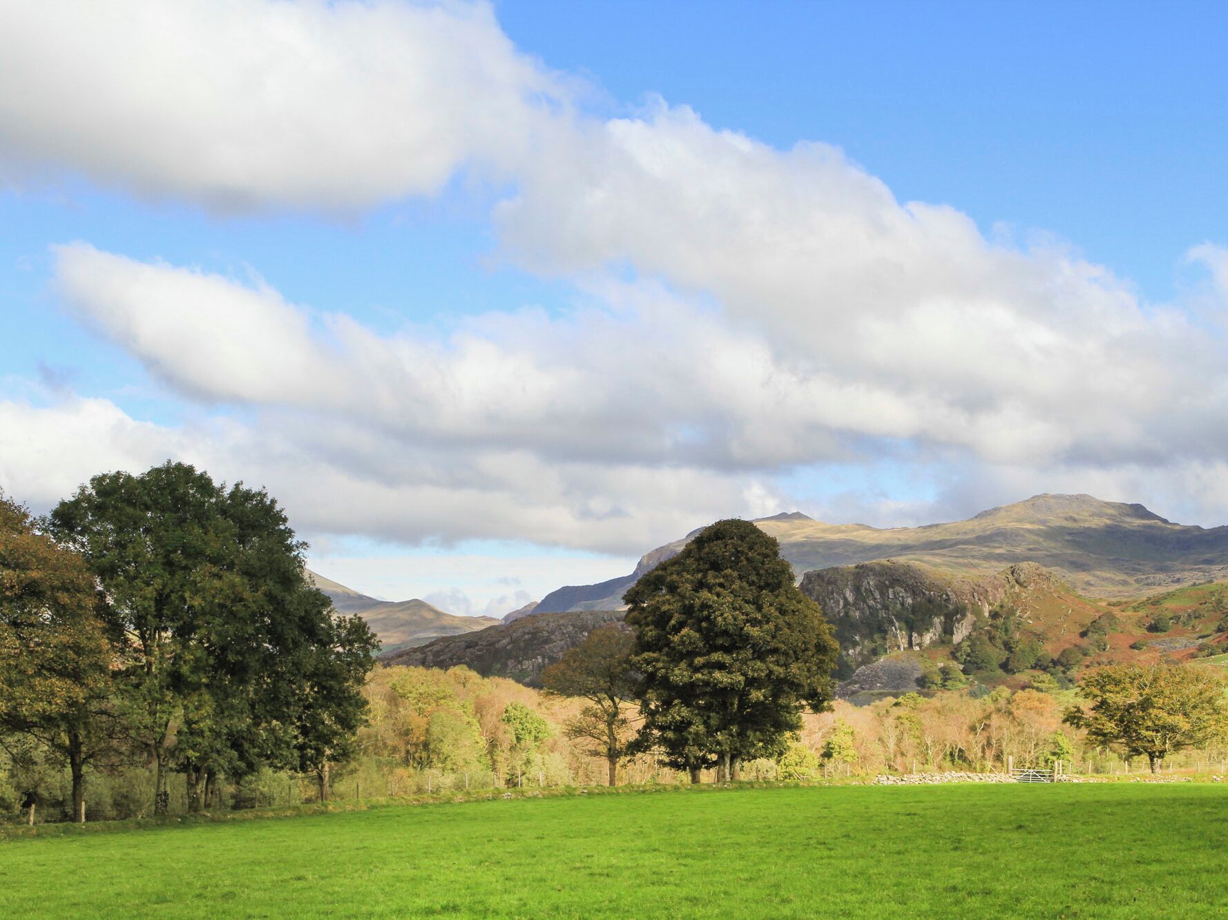 A green field with trees and mountains in the background.