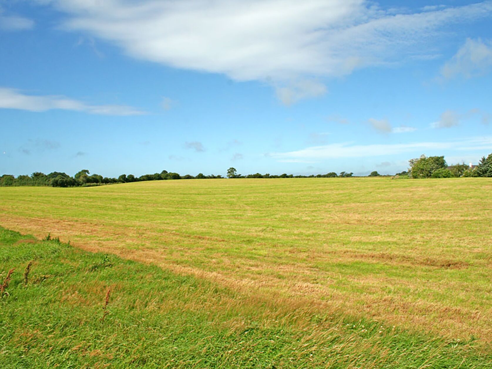 Un extenso campo abierto con cielo despejado.