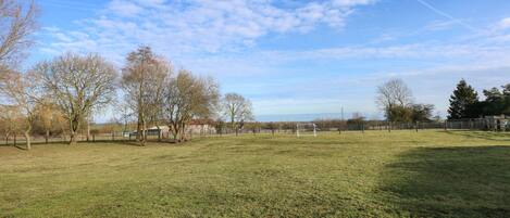 A grassy field with a goalpost, trees, and a distant view of buildings.