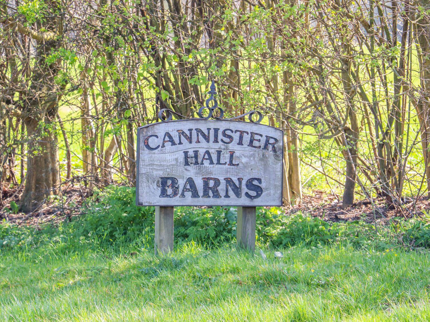 A wooden sign with the text "CANNISTER HALL FARMS" in a rustic font, set against a backdrop of trees and grass.