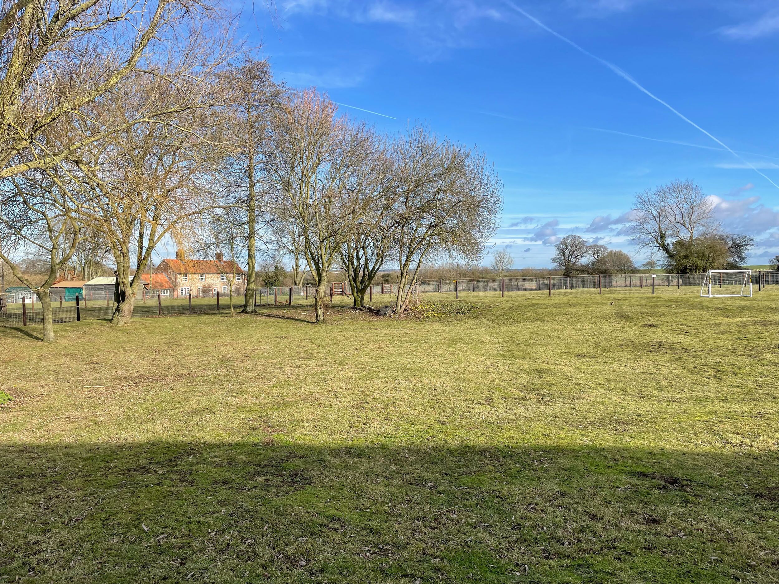 A grassy field with trees and a fenced area.