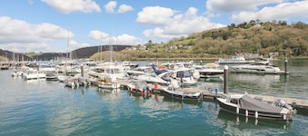 Quayside, Dart Marina