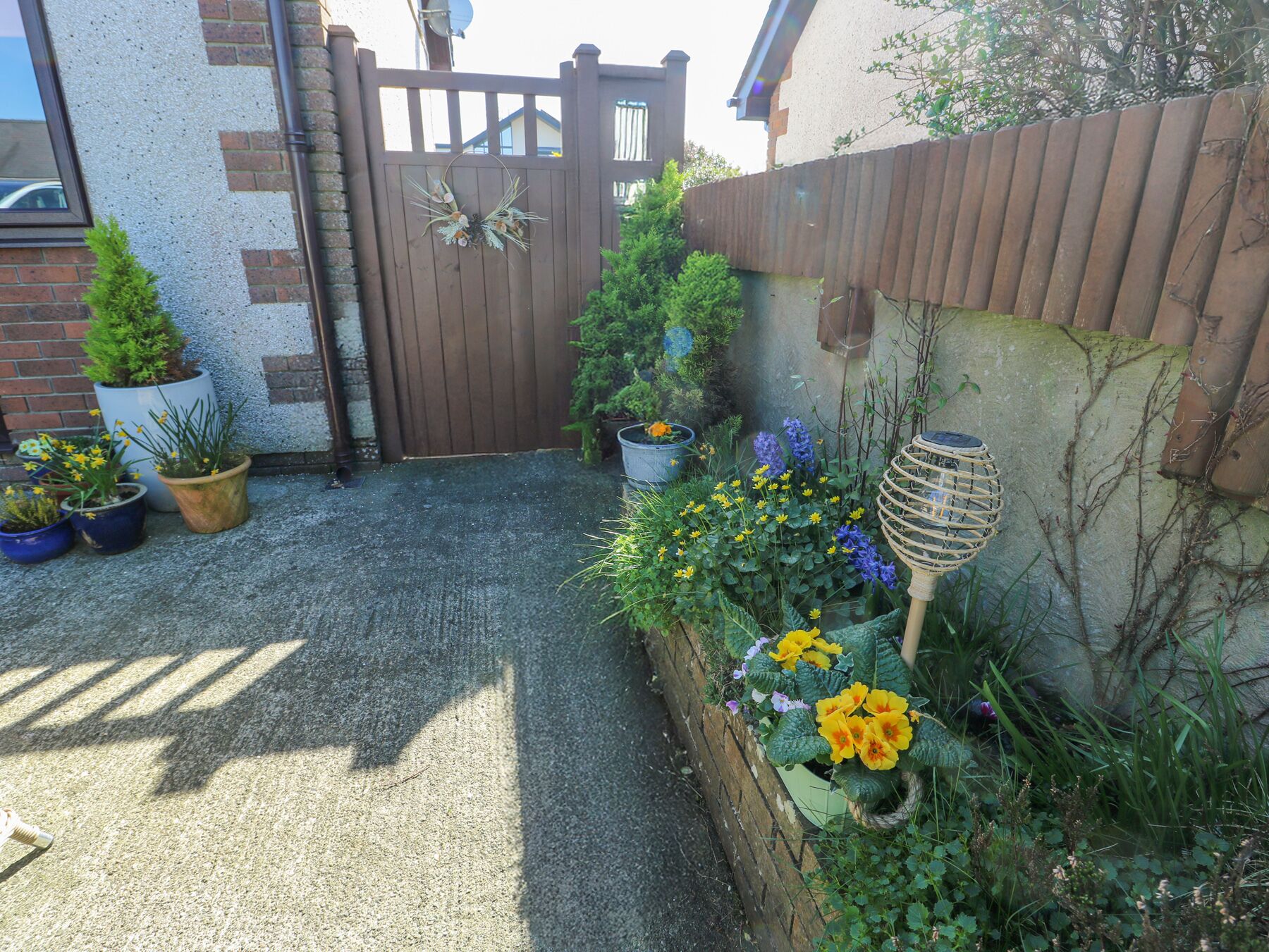 Un giardino con piante in vaso, un cancello in legno e un muro in cemento.