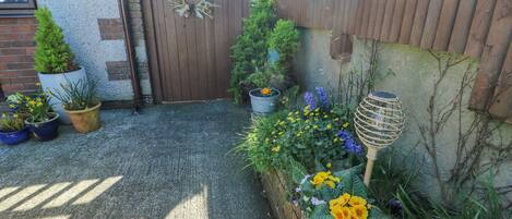 Un giardino con piante in vaso, un cancello in legno e un muro in cemento.