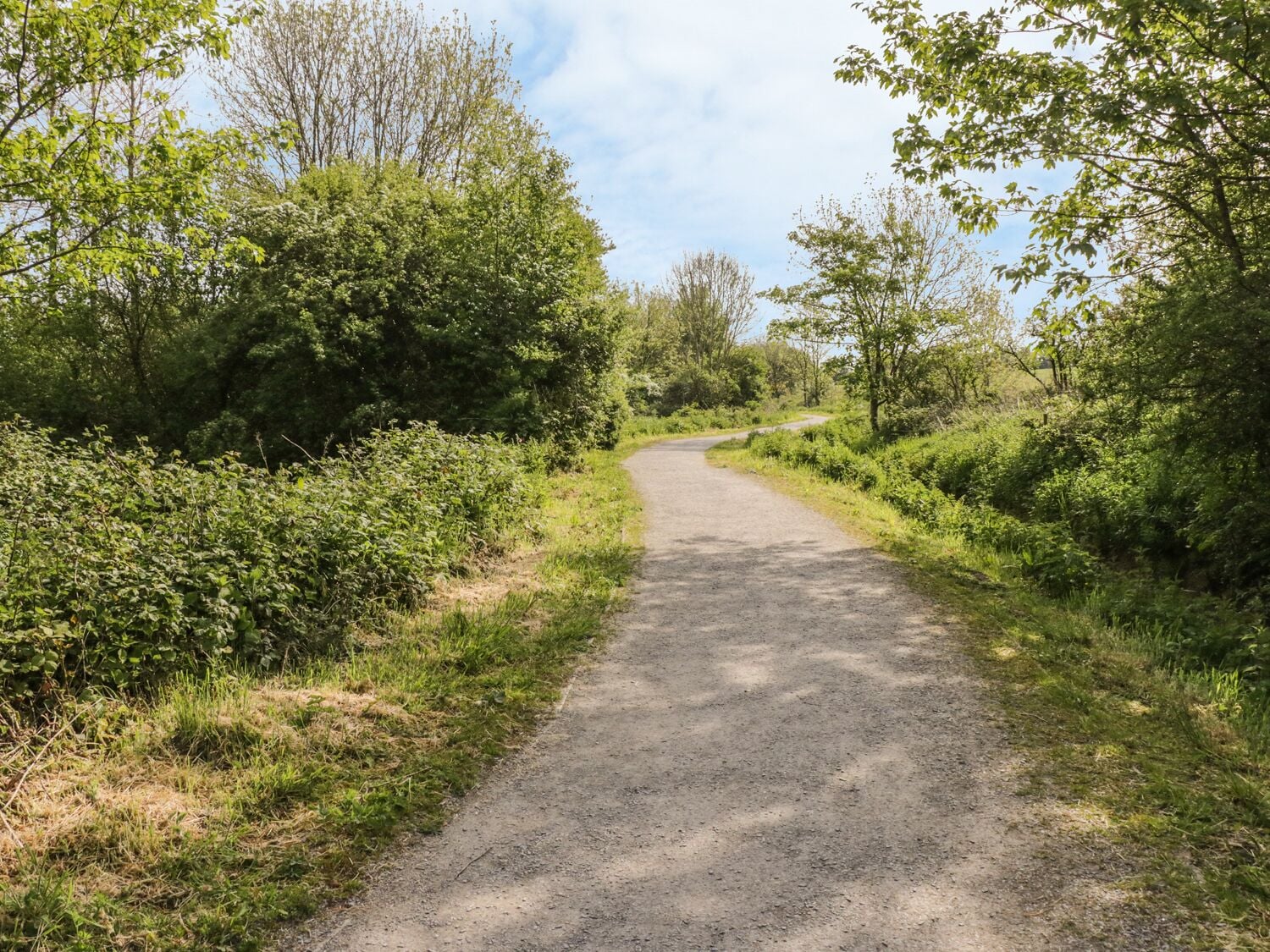 Un chemin de campagne étroit et non pavé, bordé d’une végétation luxuriante et d’arbres.