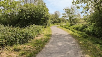 Un chemin de campagne étroit et non pavé, bordé d’une végétation luxuriante et d’arbres.