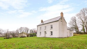 A two-story white building with a sloped roof, a chimney, and a small porch. - Llwyncadfor Farm (Llandysul)