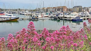 A marina with numerous boats docked, a clear sky, and buildings in the background. - Fenders (Weymouth)