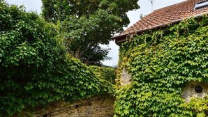 A stone staircase leading up to a building partially covered with green ivy. - Fossil Barn (Weymouth)
