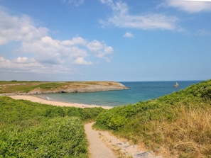 A coastal landscape with a sandy beach, a clear sky, and a path leading to the sea.