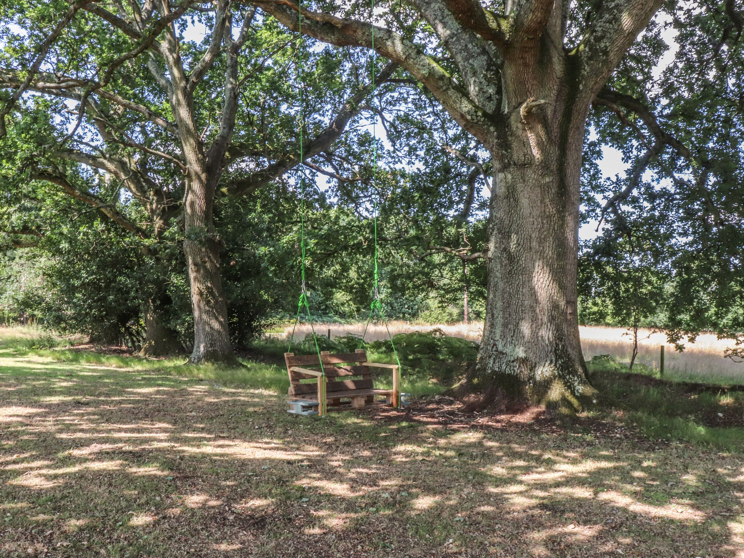 Un parco con una panchina di legno sotto un grande albero.