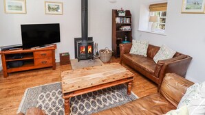 Una sala de estar acogedora con televisor, chimenea, sofá de cuero y estantería.