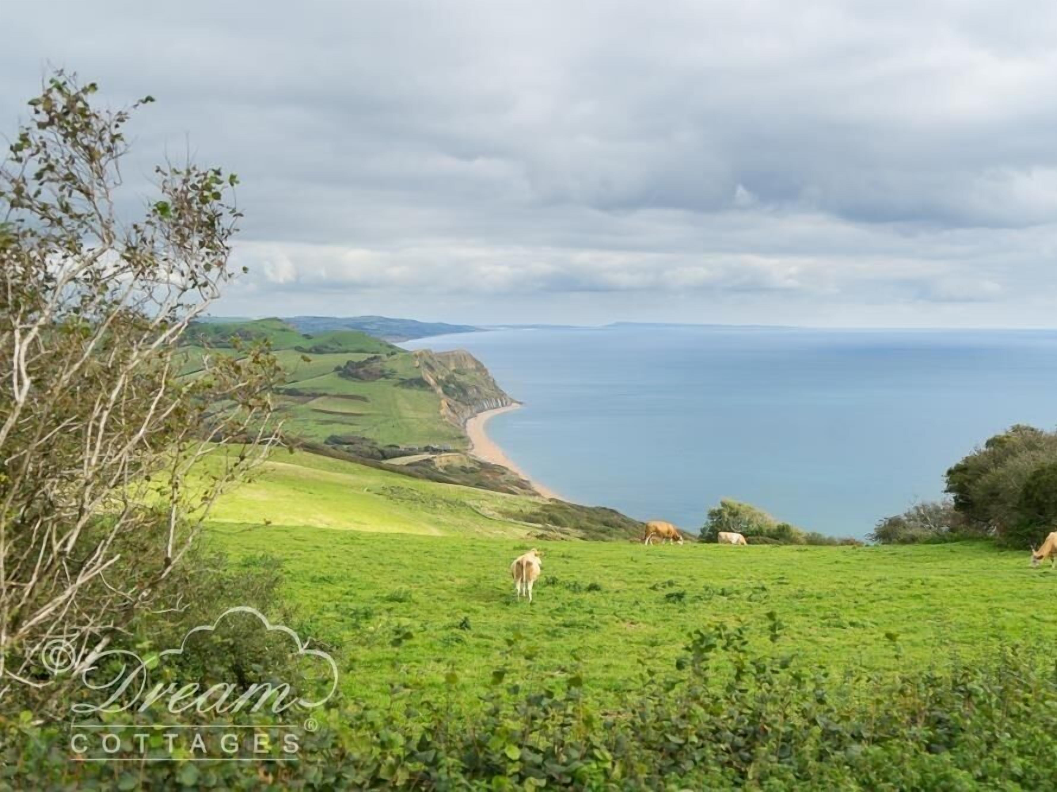 A coastal landscape with green fields, a beach, and a cliff overlooking the sea.