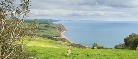 A coastal landscape with green fields, a beach, and a cliff overlooking the sea.