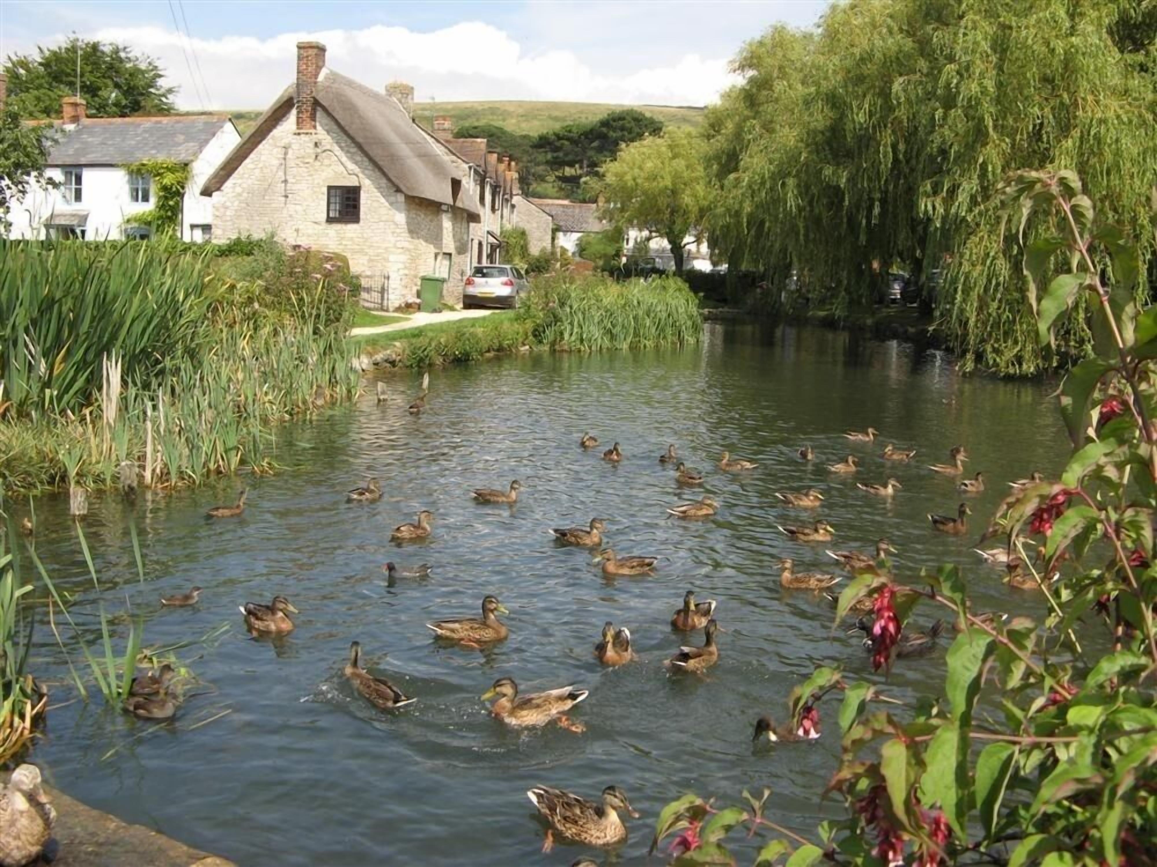 Un río tranquilo con patos nadando, rodeado de exuberante follaje y edificios de piedra.