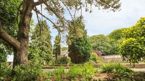 A stone wall with dense greenery and trees in a park setting. - Surf Song (Penzance)