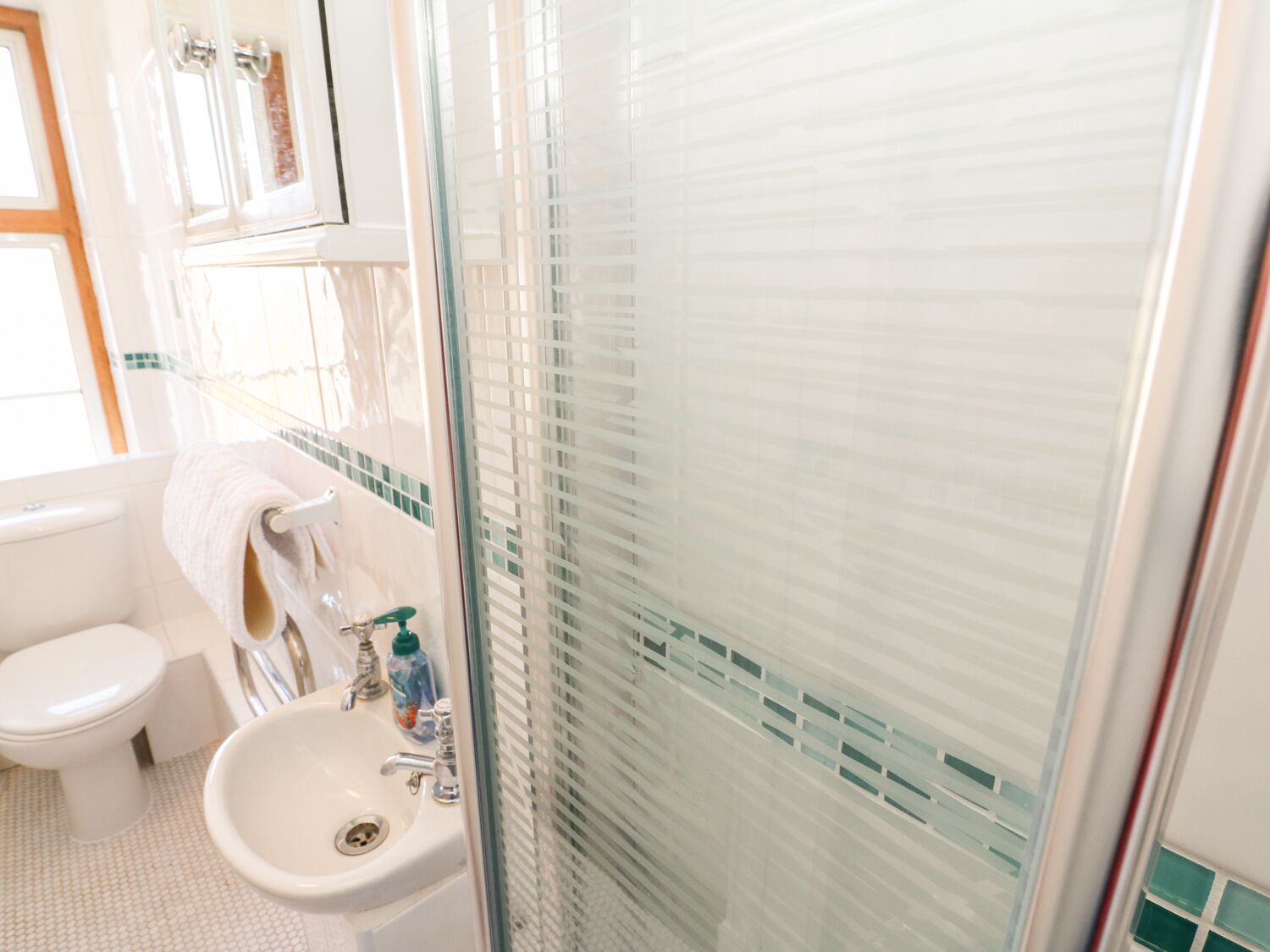 Une salle de bain équipée de toilettes, d’un lavabo et d’une douche à parois en verre.