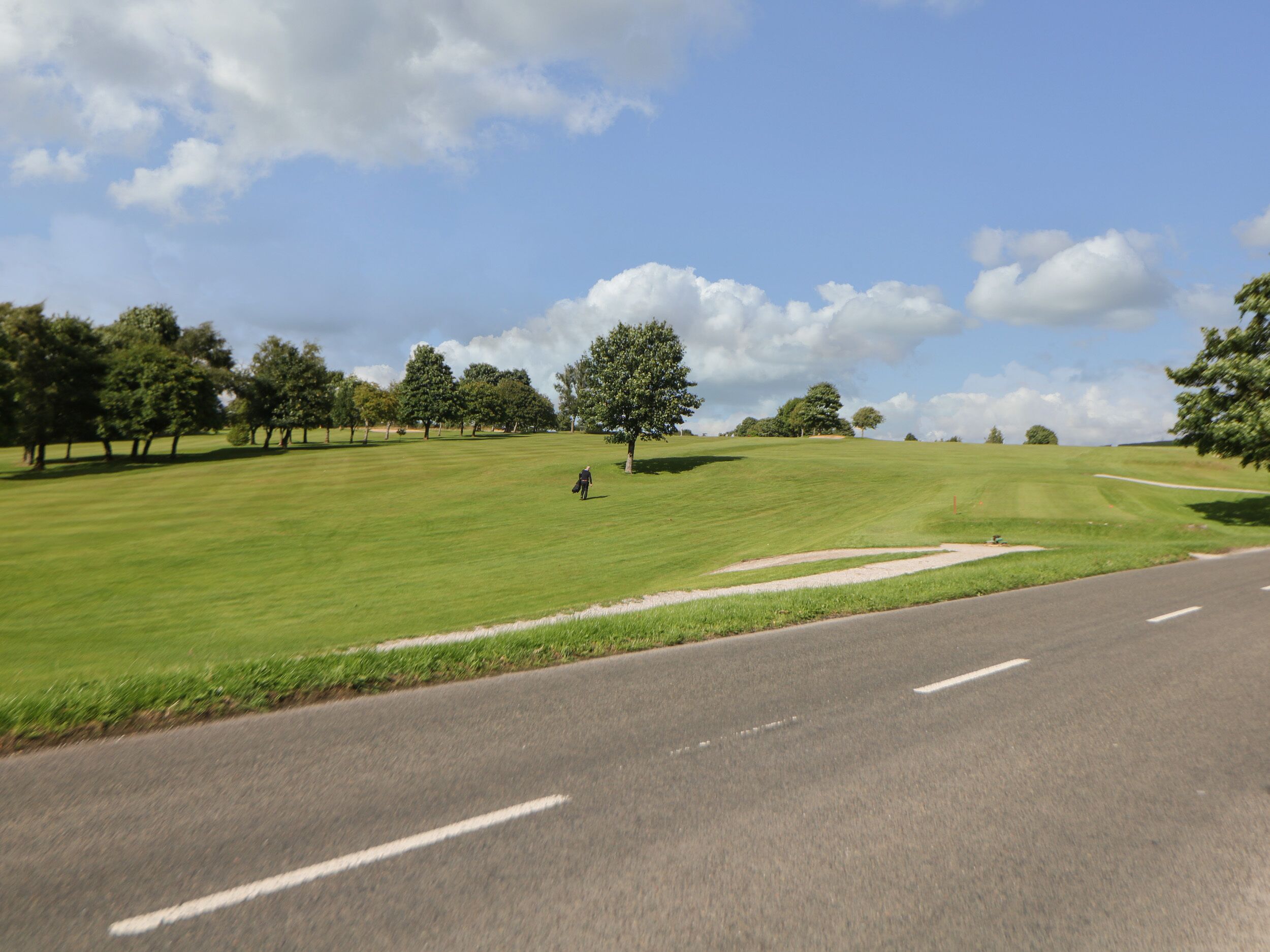 A road with a grassy area and trees on the side.