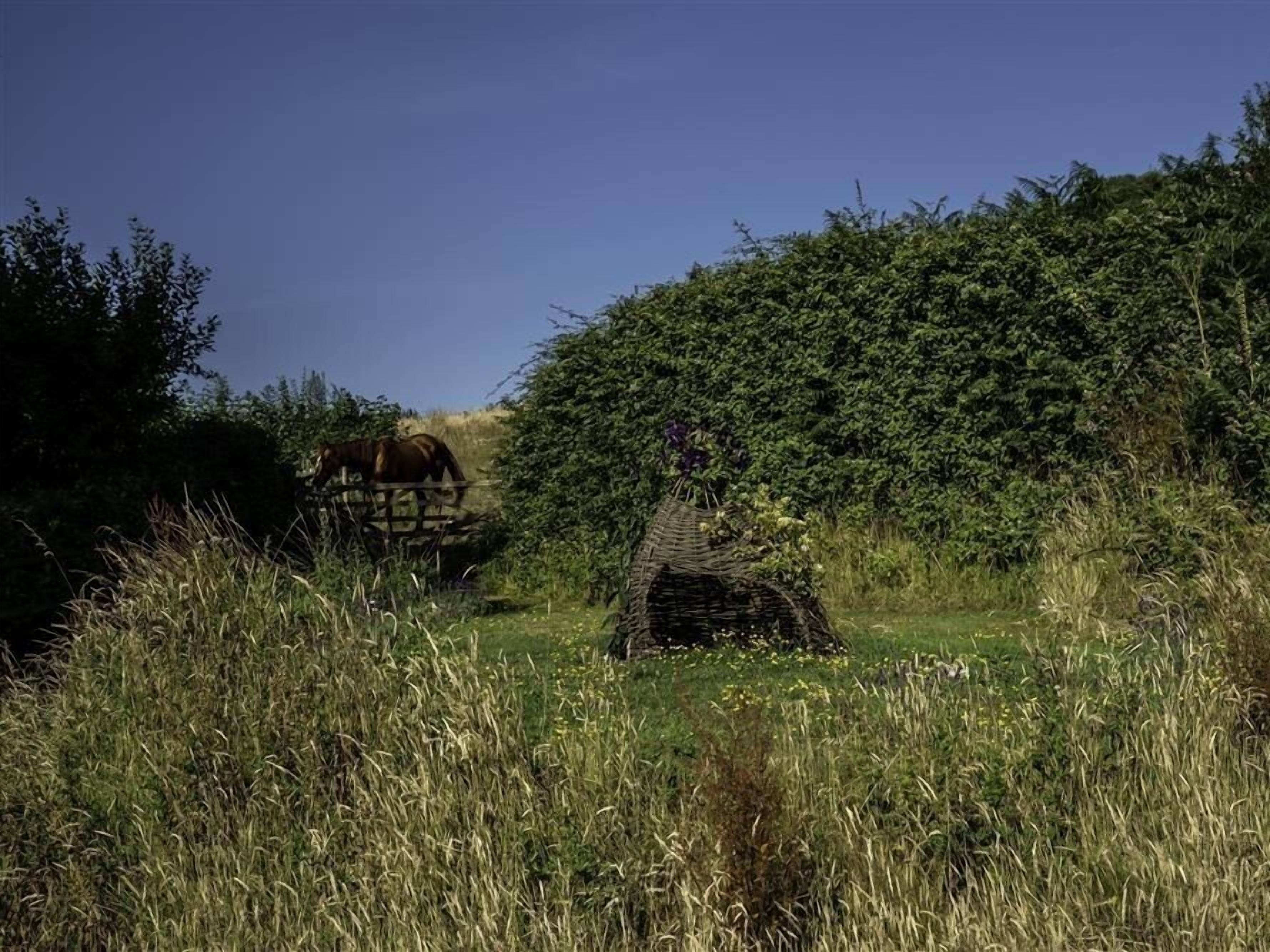 Un ponte di legno rustico in un prato erboso, con fitta vegetazione ai lati.