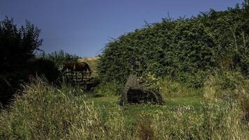 Un ponte di legno rustico in un prato erboso, con fitta vegetazione ai lati.