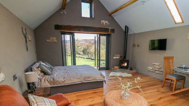 Une chambre spacieuse avec un grand lit, un plancher en bois, une cheminée et une vue sur l’extérieur.