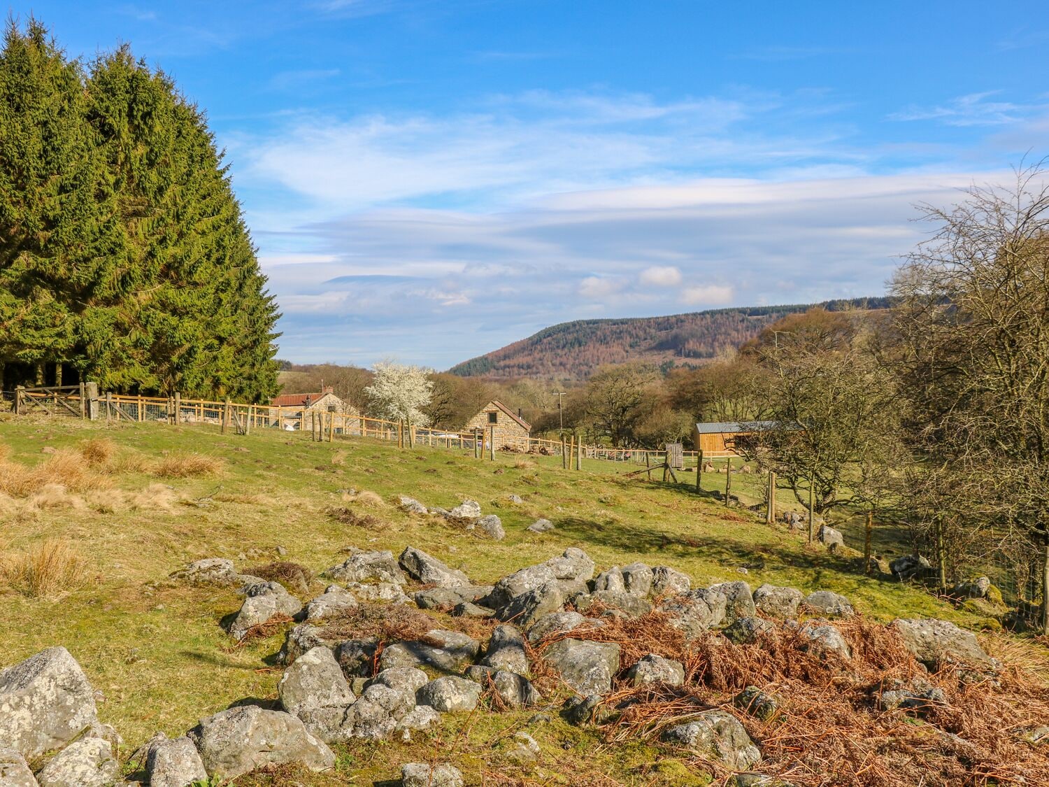 Cottage | Miscellaneous