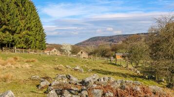 Cottage | Miscellaneous
