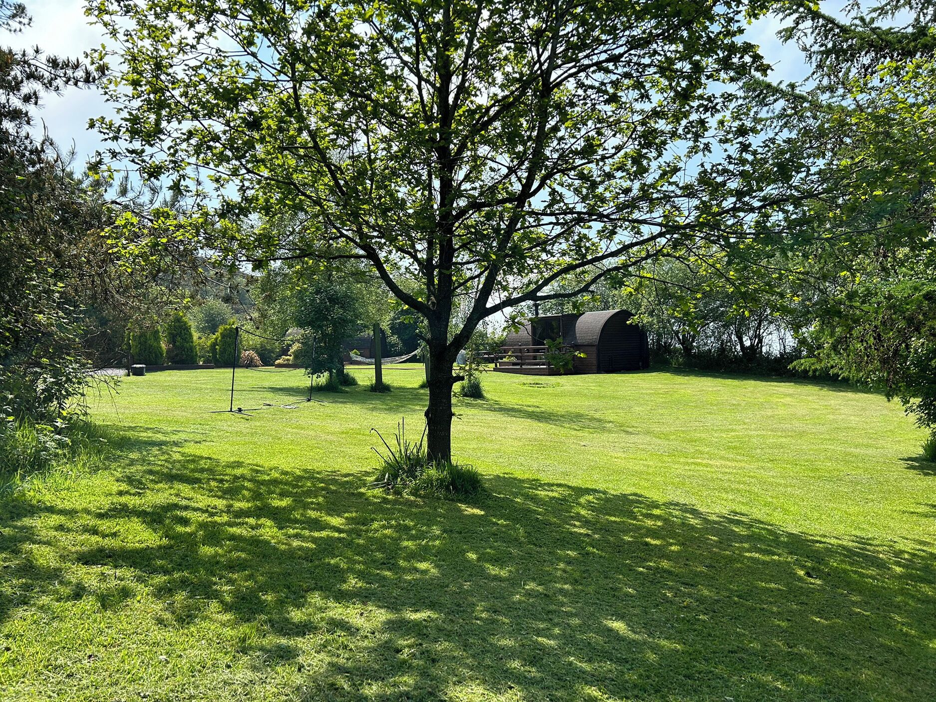 Ein grasbewachsenes Feld mit einem großen Baum und einem Bauernhof im Hintergrund.