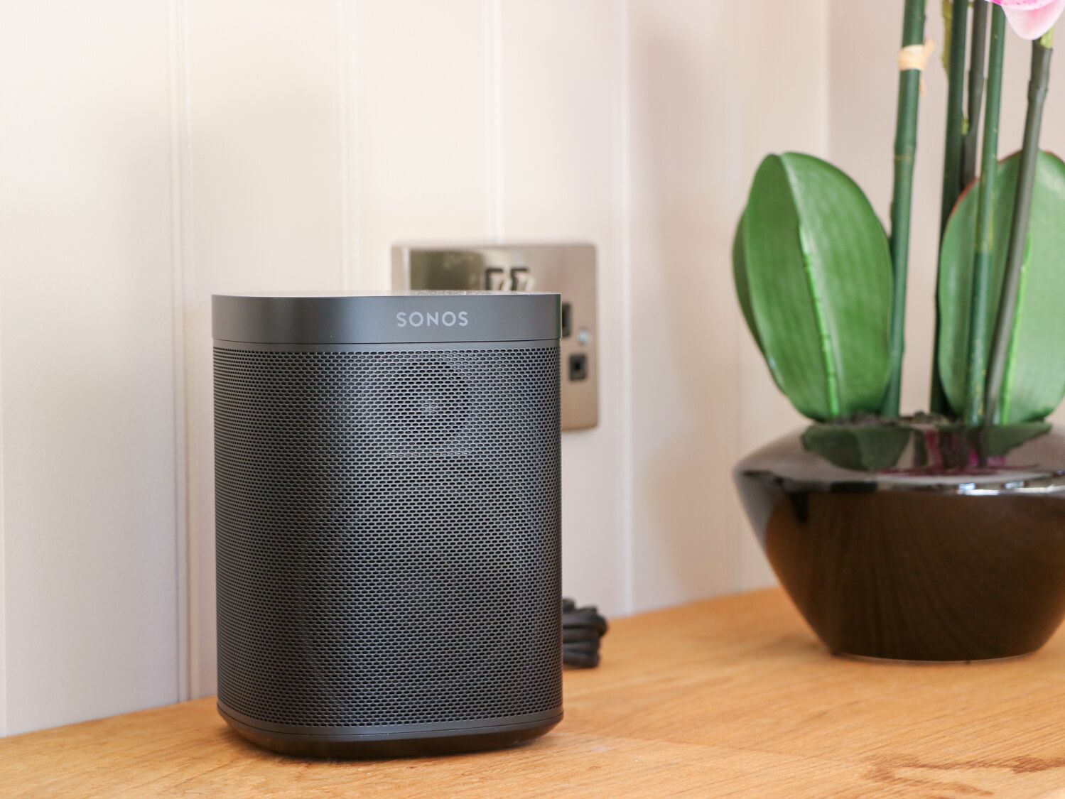 Un haut-parleur Sonos noir posé sur une surface en bois, avec une plante en pot en arrière-plan.