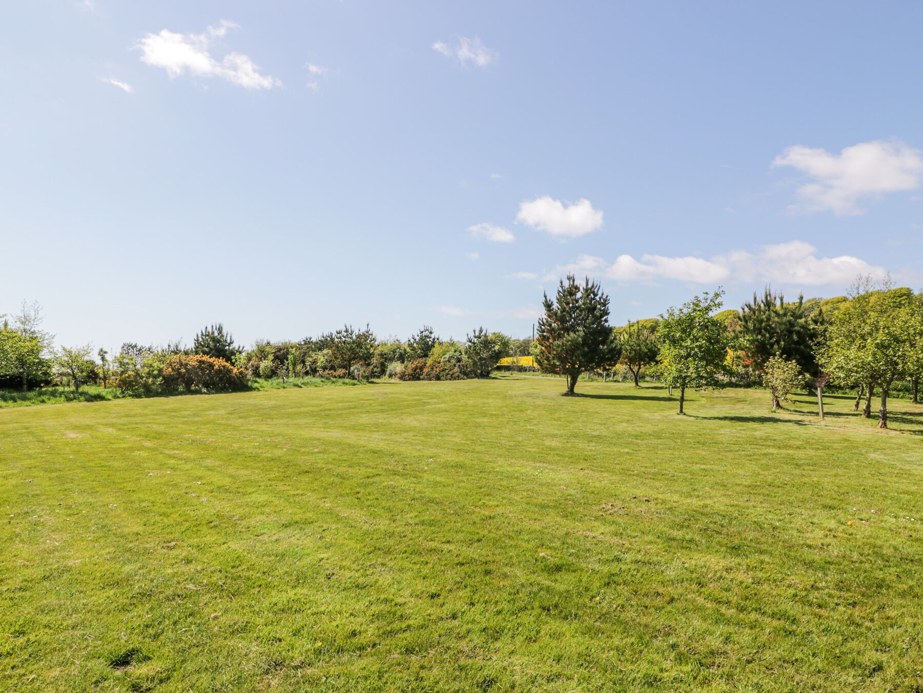 A grassy field with trees and a clear sky.