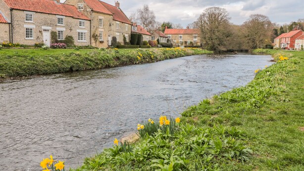 A river running through a village with stone buildings and daffodils in the foreground. - Runswick (York)