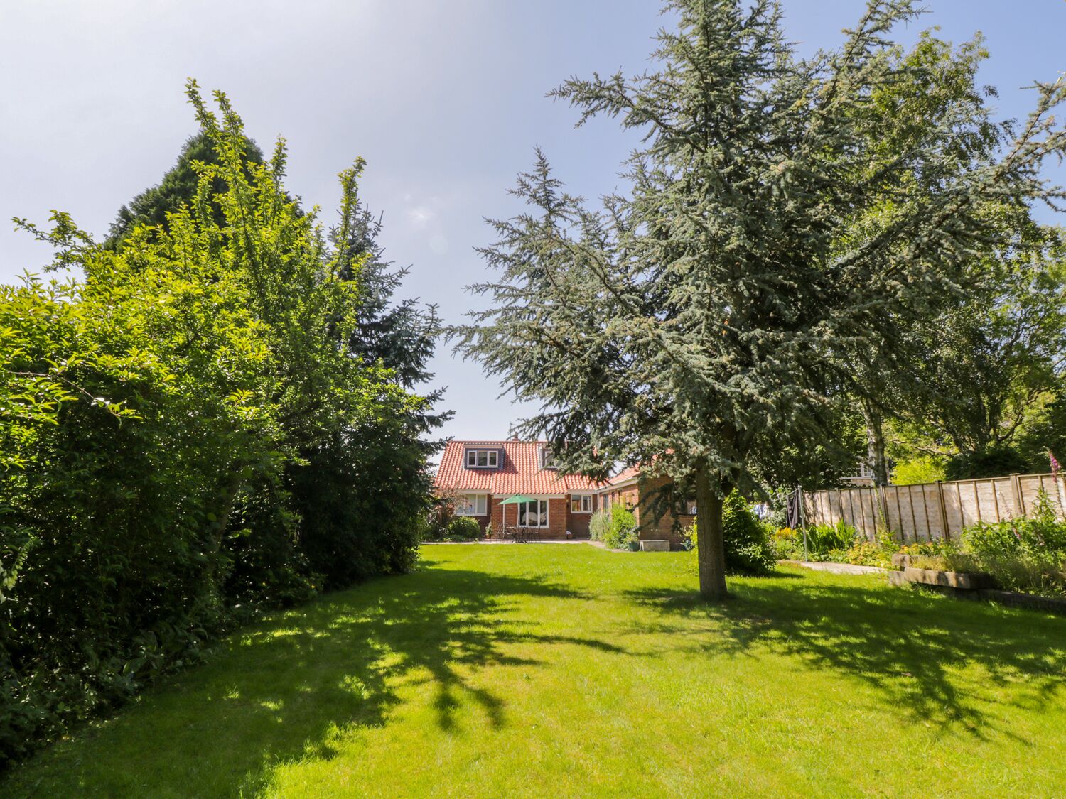 A residential backyard with a house, a lawn, and a wooden fence.