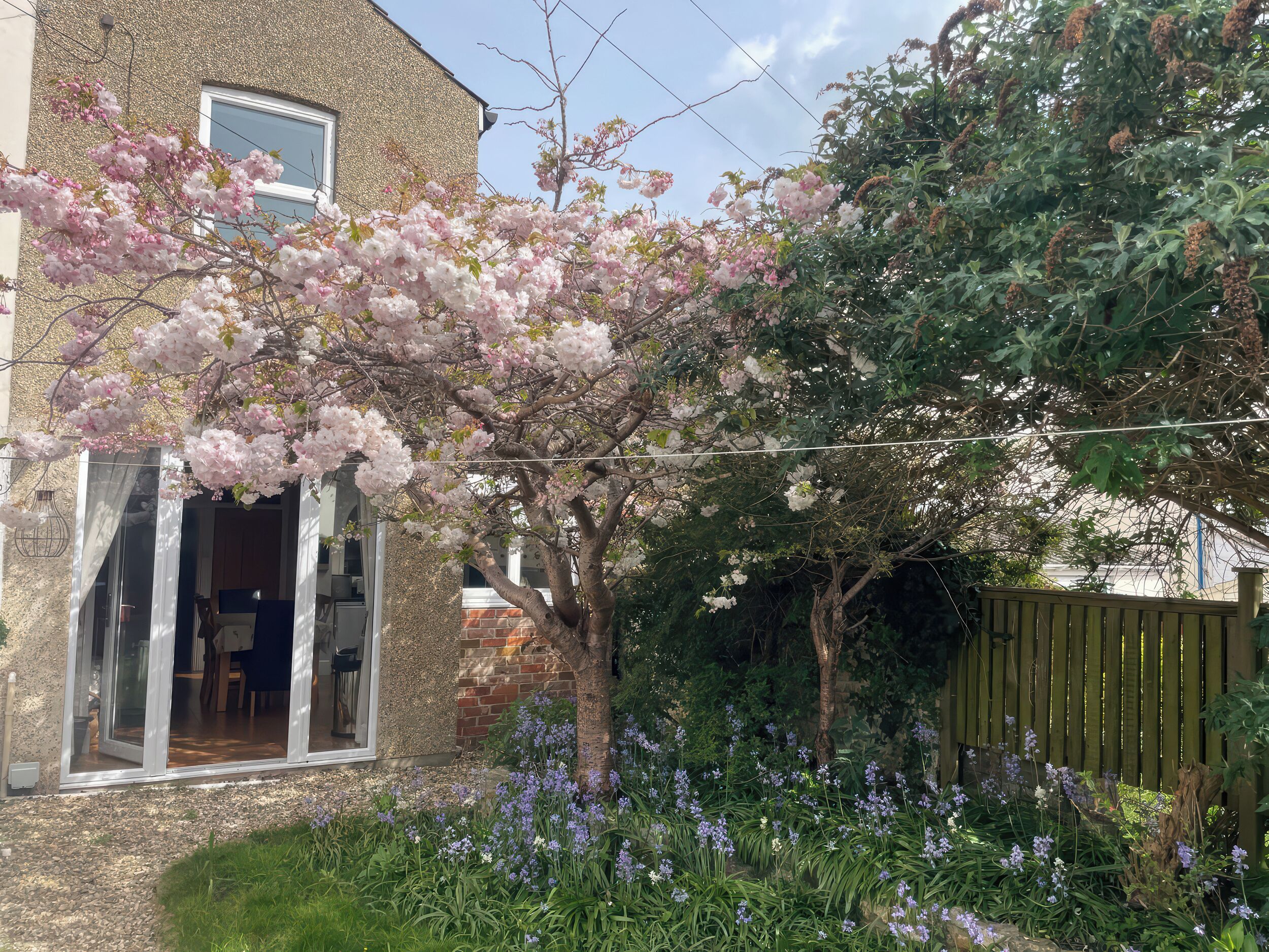 A house with a garden, a window, and a door.