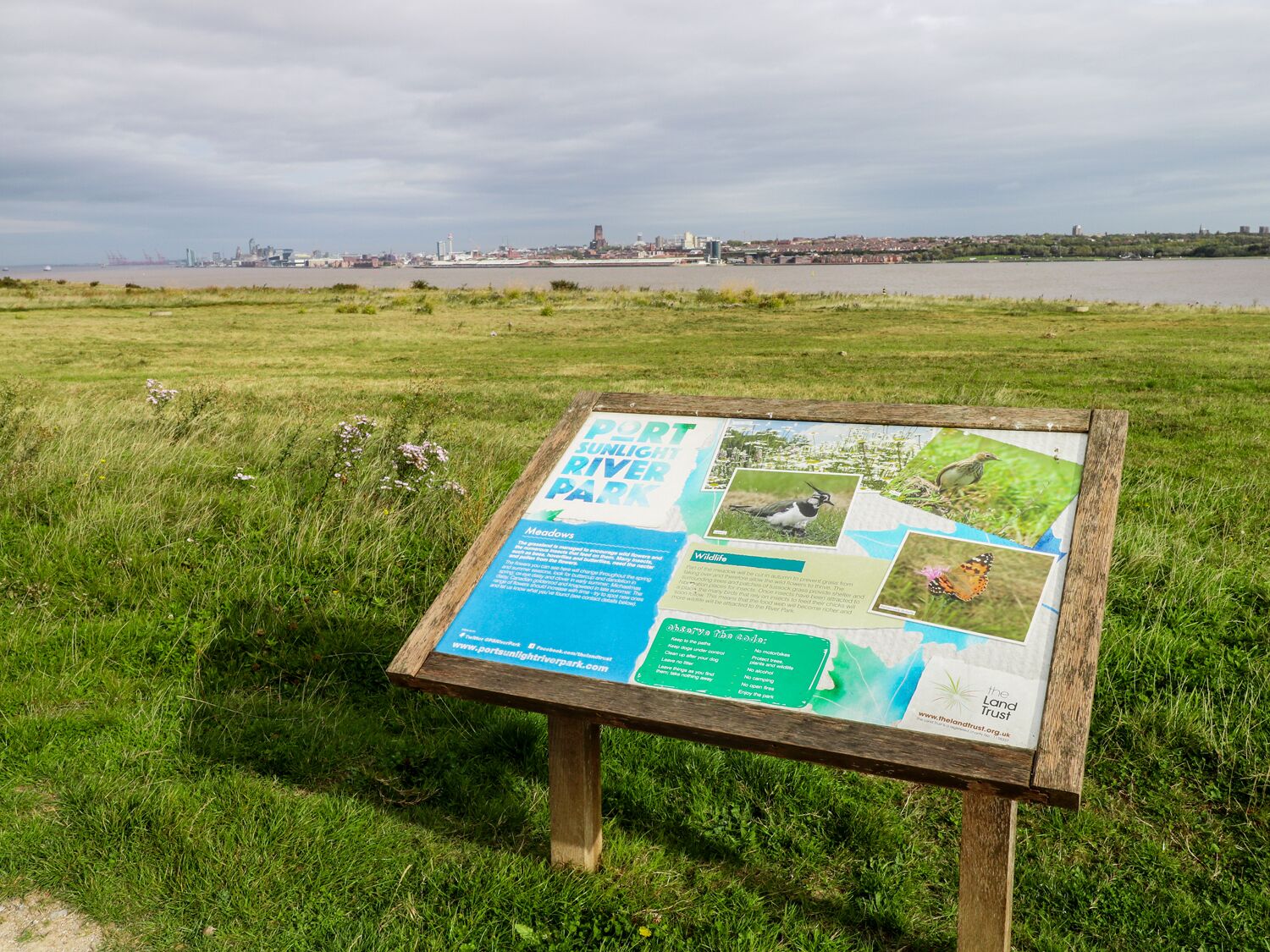 A signboard in a grassy field with a cityscape in the background.