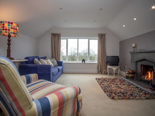 Flat-screen TV, DVD player