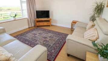 Stuga | Vardagsrum | Tv