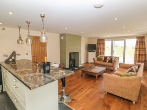 Enjoy a comfortable living space with a kitchen, seating area, fireplace, and TV.