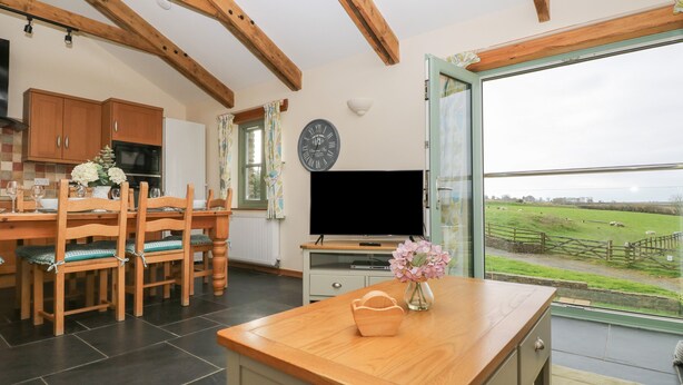 A dining area with a wooden table and chairs, a TV, and a view of a green field through a glass door.